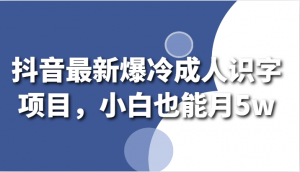 抖音最新爆冷成人识字项目,小白也能月5w-KJ分享