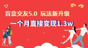 盲盒交友5.0,玩法全新升级,一个月直接变现1.3W,新手小白轻松上手【揭秘】-KJ分享