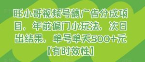 旺小哥视频号薅广告分成项目,年前偏门小玩法,次日出结果,单号单天500+元【有时效性】-KJ分享