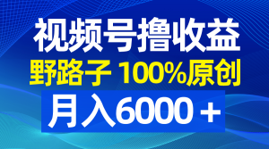 视频号野路子撸收益,100%原创,条条爆款,月入6000+-KJ分享