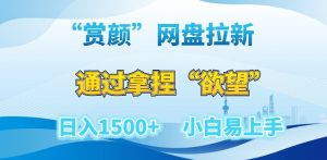 “赏颜”网盘拉新赛道,通过拿捏“欲望”日入1500+,小白易上手【揭秘】-KJ分享