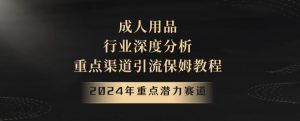 2024年重点潜力赛道,成人用品行业深度分析,重点渠道引流保姆教程【揭秘】-KJ分享