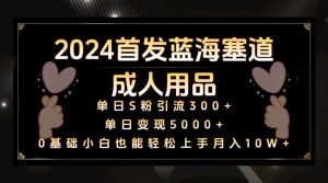 2024首发蓝海塞道成人用品，月入10W+保姆教程-KJ分享