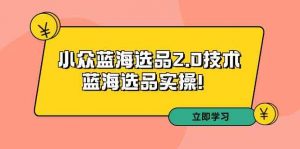 拼多多培训第33期：小众蓝海选品2.0技术-蓝海选品实操-KJ分享