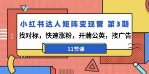小红书达人矩阵变现营第3期，找对标，快速涨粉，开蒲公英，接广告（11节课）-KJ分享