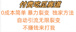 吃瓜付费赛道，暴力无限裂变，0成本，实测日入700+！！！-KJ分享