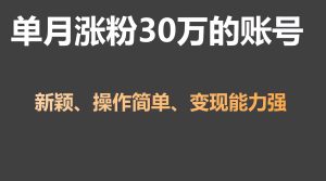 单月涨粉30万,带货收入20W,5分钟就能制作一个视频!-KJ分享