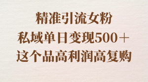 精准引流女粉,私域单日变现500+,高利润高复购,保姆级实操教程分享-KJ分享