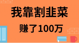 我是如何靠割韭菜月入20W的-KJ分享