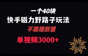 一个40块，快手联合美团磁力新玩法，无视机制野路子玩法，单视频收益4位数【揭秘】-KJ分享