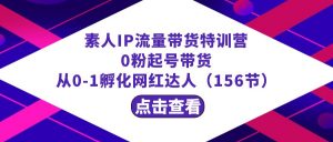 繁星·计划素人IP流量带货特训营:0粉起号带货 从0-1孵化网红达人(156节)-KJ分享