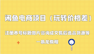 闲鱼电商项目（玩转价格差）：注册养号标题图片咨询成交售后选品货源等，一条龙教程-KJ分享