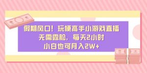 假期风口！玩梗高手小游戏直播，无需露脸，每天2小时，小白也可月入2W+-KJ分享