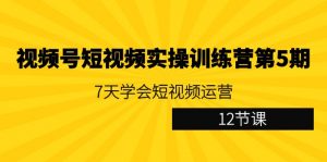 视频号短视频实操训练营第5期:7天学会短视频运营(12节课)-KJ分享