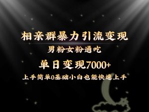 全网首发相亲群暴力引流男粉女粉通吃变现玩法,单日变现7000+保姆教学1.0-KJ分享