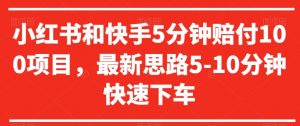 小红书和快手5分钟赔付100项目,最新思路5-10分钟快速下车【仅揭秘】-KJ分享