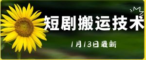 最新短剧搬运技术,电脑手机都可以操作,不限制机型-KJ分享