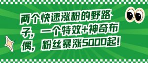 两个快速涨粉的野路子,一个特效+神奇布偶,粉丝暴涨5000起-KJ分享