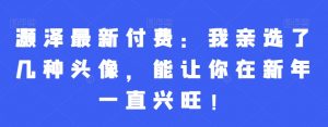 灏泽最新付费：我亲选了几种头像，能让你在新年一直兴旺！-KJ分享