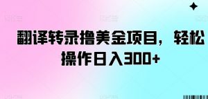 翻译转录撸美金项目，轻松操作日入300+-KJ分享