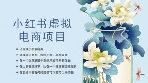 [小红书]小红书虚拟电商从0到1小白到精英（20节实操课程）-KJ分享