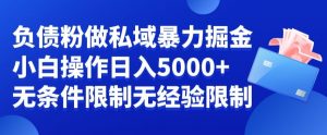 负债粉私域暴力掘金,小白操作入5000,无经验限制,无条件限制-KJ分享