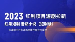 2023红利项目短剧拉新,月入过万红果短剧番茄小说CPA拉新项目教程-KJ分享