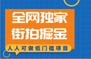 全网独家一街拍掘金,低门槛人人可做的赚钱项目-KJ分享
