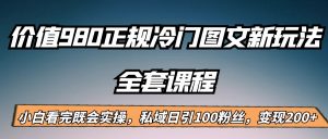 外面卖980的正规冷门图文新玩法,私域日引100粉丝,变现200+-KJ分享