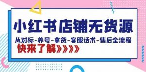 小红书店铺无货源：从对标-养号-拿货-客服话术-售后全流程（20节课）-KJ分享