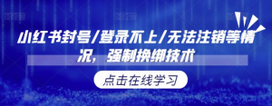 小红书封号/登录不上/无法注销等情况，强制换绑技术【修正】-KJ分享