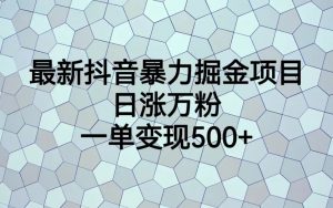 最新抖音暴力掘金项目,日涨万粉,一单变现500+-KJ分享