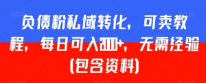 负债粉私域转化,可卖教程,每日可入2000+,无需经验(包含资料)-KJ分享