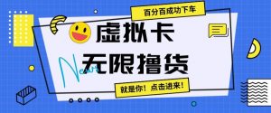 虚拟卡无限撸货，百分百成功下车【仅揭秘】-KJ分享