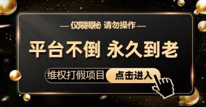 维权打假项目,电商平台不倒,项目长久到老,零投入,高回报(仅揭秘,勿操作)-KJ分享