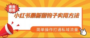 小红书最新留钩子实用方法,简单操作打通私域流量-KJ分享