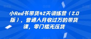 小Red书带货42天训练营(2.0版),普通人月收过万的带货课,零门槛无压货-KJ分享