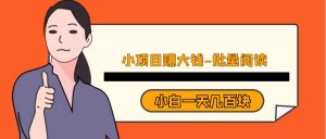 小项目赚大钱《批量阅读》小白一天几百块-KJ分享