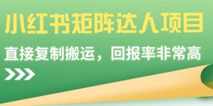 小红书矩阵达人项目，直接复制搬运，回报率非常高-KJ分享