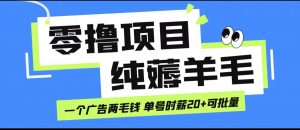 无脑纯薅羊毛小项目，一个广告两毛钱 单号时薪20+-KJ分享