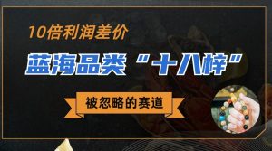 被忽略的蓝海品类“十八籽”,10倍的利润差价,同行一天几十单-KJ分享