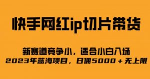 快手网红ip切片新赛道,竞争小,适合小白 2023蓝海项目-KJ分享