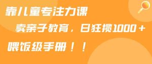 靠儿童专注力课程售卖亲子育儿课程，日暴力狂揽1000+，喂饭手册分享-KJ分享