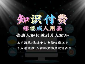 2024普通人做知识付费结合成人用品如何实现单月变现30w➕保姆教学1.0-KJ分享