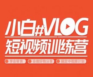 小呆说视–小白VLOG短视频训练营，学会带货、好物、直播、中视频-KJ分享