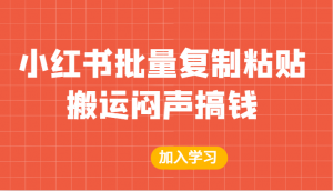 某公众号付费文章：小红书批量复制粘贴搬运闷声搞钱！-KJ分享