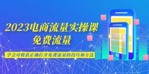 2023电商流量实操课-免费流量，学会可收获正确打开免费流量的技巧和方法-KJ分享
