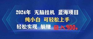 2024年无脑挂机蓝海项目 纯小白可轻松上手 轻松实现躺赚日入900+-KJ分享