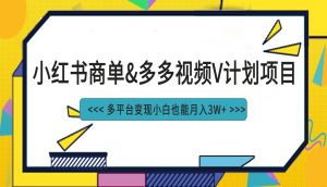 小红书商单最新升级玩法结合多多视频v计划多平台变现-KJ分享