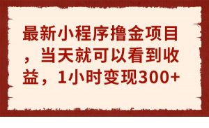 最新小程序撸金项目，当天就可以看到收益，1小时变现300+-KJ分享